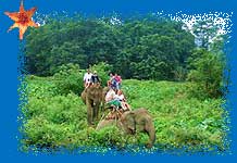 Elefanten-Trekking im Khao Sok